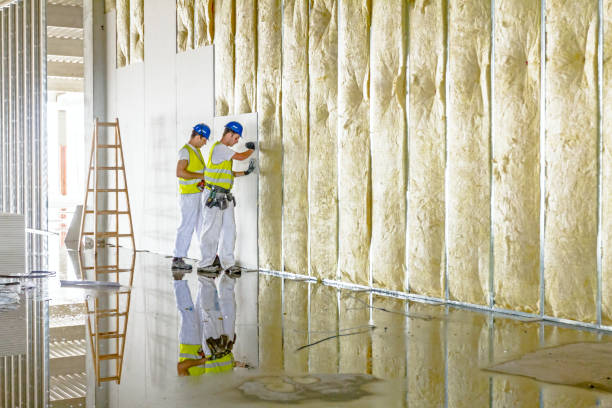 Best Eco-Friendly Insulation in Chester, NY